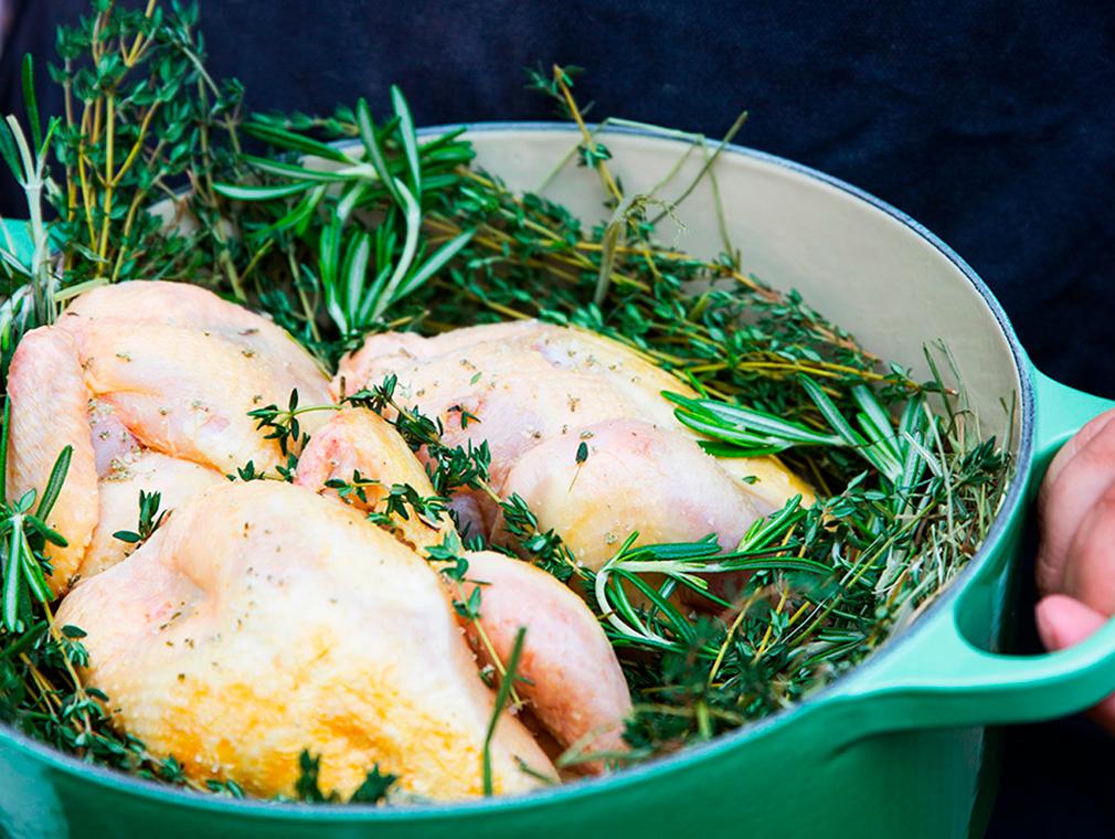 Örtrökta poussiner
